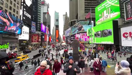 Compañeros de Viaje en Nueva York