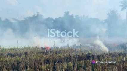 Understanding Lahore's Smog Crisis