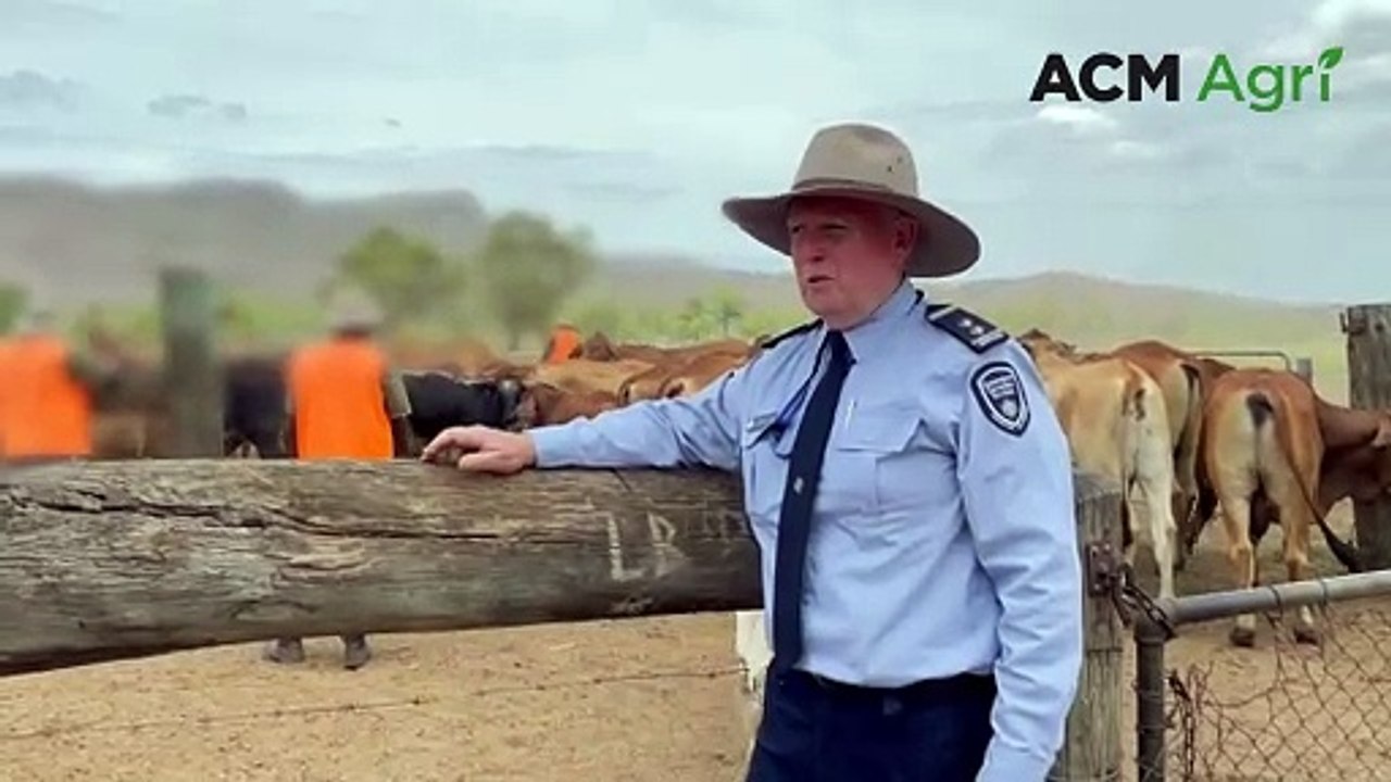 Livestock management as prisoner rehabilitation | November 24, 2023 | Queensland Country Life
