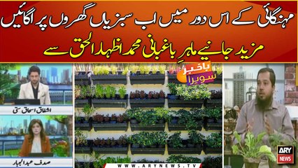 How to grow vegetables at home?