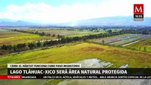 Declaran como área natural protegida al lago Tláhuac-Xico