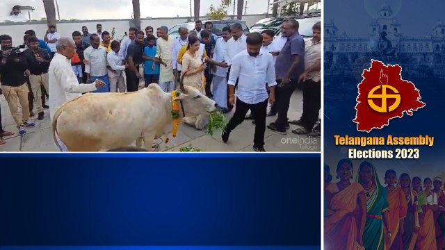 Kodangal నివాసంలో గోపూజ కార్యక్రమంలో సతీసమేతంగా TPCC Revanth Reddy | Telugu Oneindia