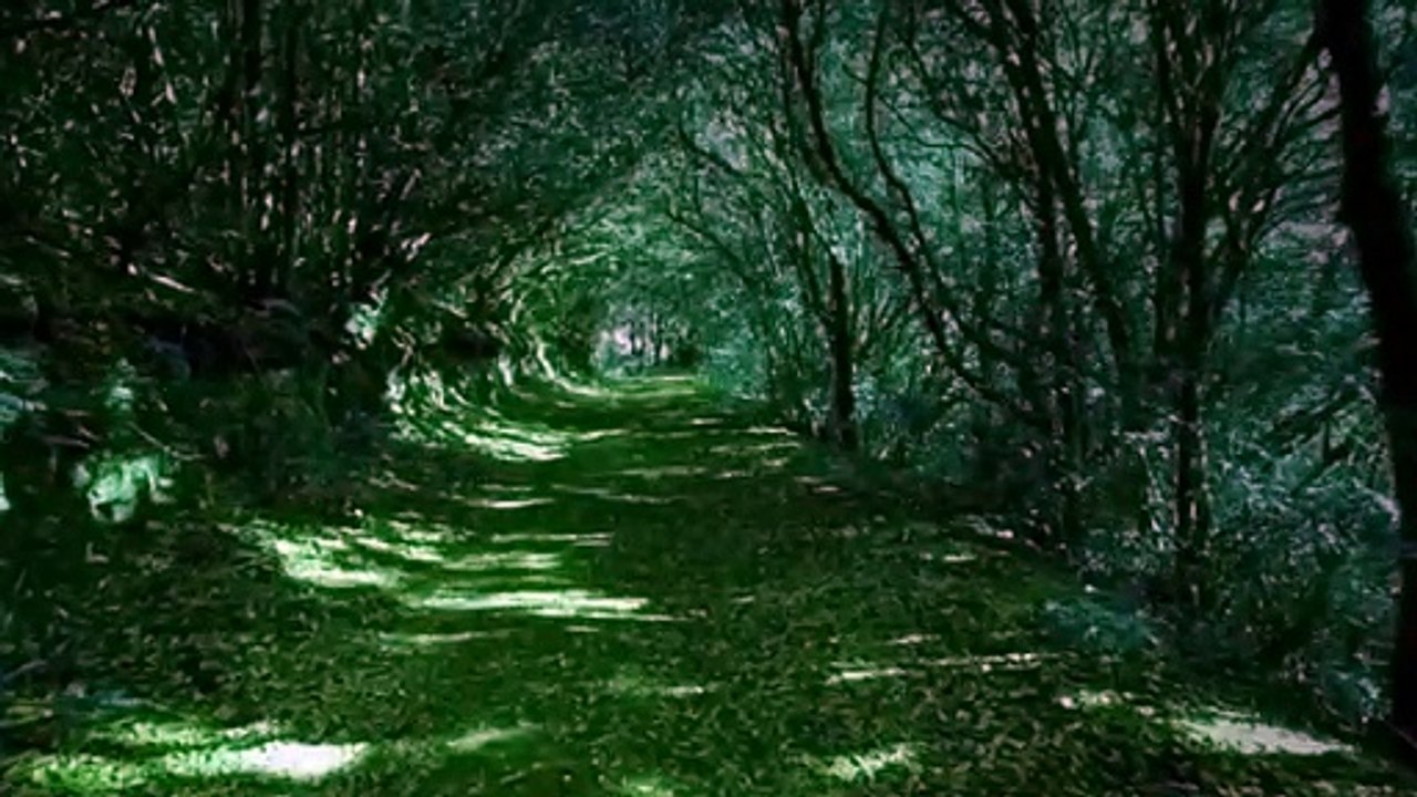 Stuck In A Dream Music ( No Lyrics ) | Dream Music | Sleep Time Music