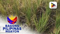 Batangas, Cavite, at Oriental Mindoro, makararanas ng tagtuyot ngayong Disyembre