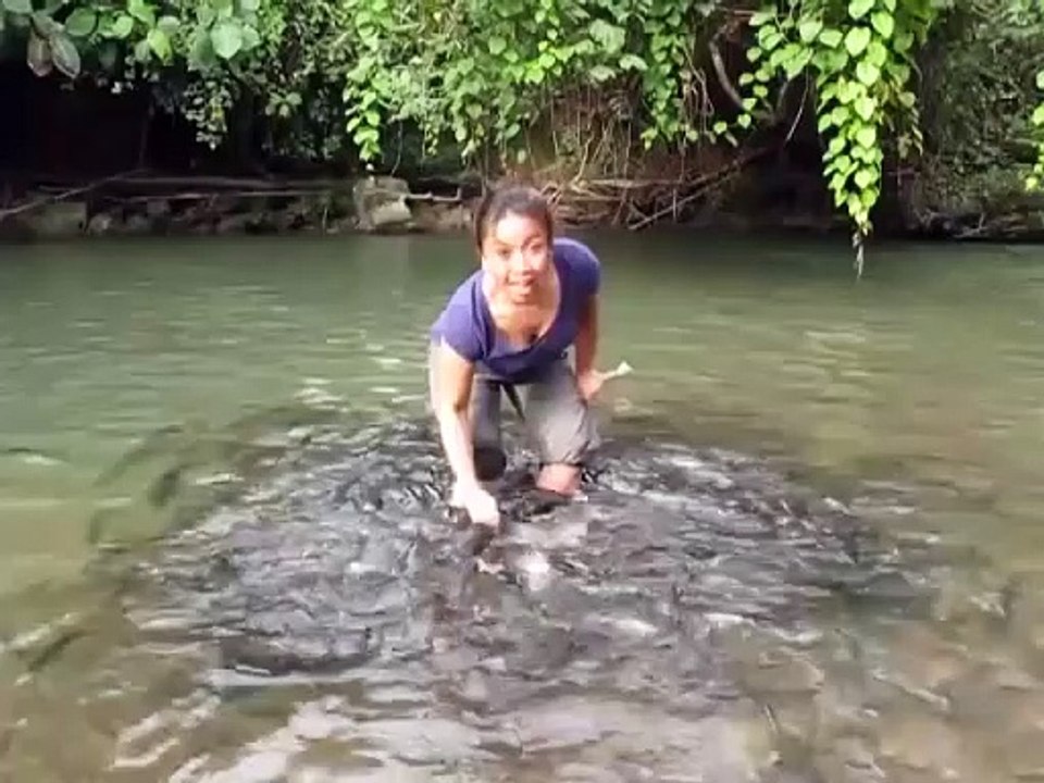Mettre les pieds dans un banc de poisson... Attention aux chatouilles
