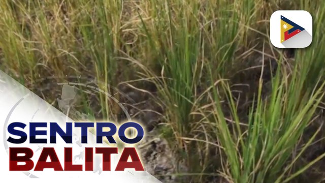 Cavite, Batangas, at Oriental Mindoro, inaasahang makararanas ng tagtuyot sa Disyembre ayon sa...