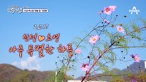 [선공개] 신랑수업 공식 짝꿍! 신성♥소영 1박 2일 가평 여행