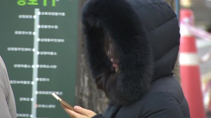 [날씨] 북극발 한파 절정, 주말까지 강추위...서해안 많은 눈 / YTN