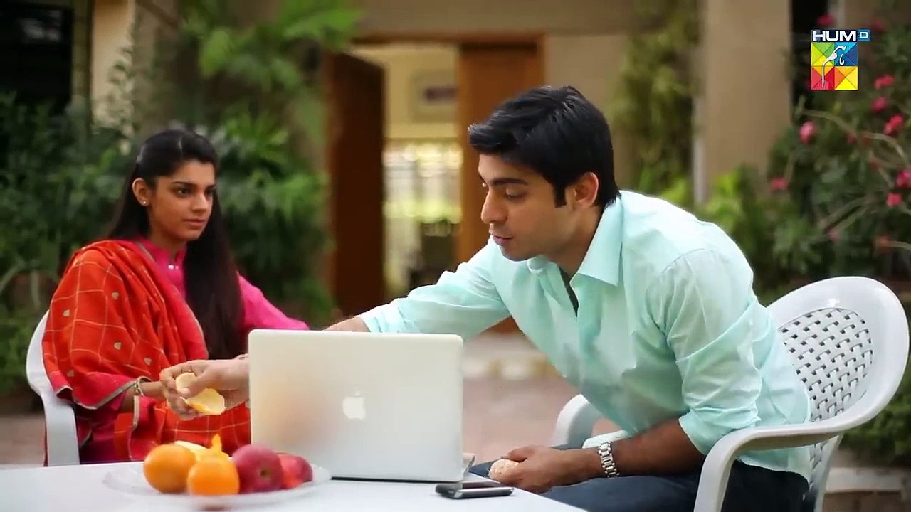 Zindagi Gulzar Hai 2nd Last Episode 25 [ HD ] Fawad Khan & Sanam