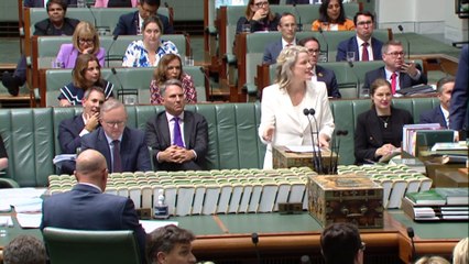 Peter Dutton demands apology over paedophile comments