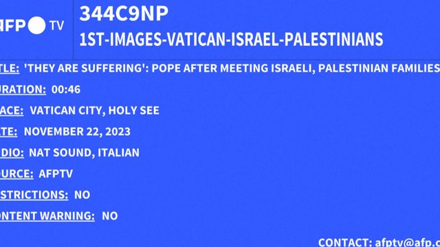 Streit im Vatikan: Das steckt hinter der Fehde zwischen Papst Franziskus und Kardinal Burke