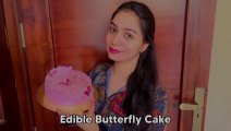 Edible Butterfly Cake | Easy Cake Design | Trending Cake Decoration | Step By Step Guide | Pink Cake
