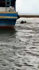 走私贩弃船跳海         水警起500万海产