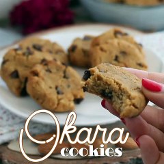 Okara cookies - vegan and gluten-free recipe