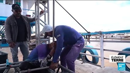 COP28 : Brésil, sécheresse en Amazonie