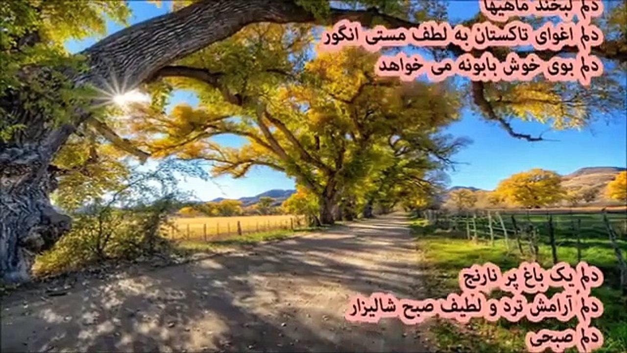 دکلمه شعر _ نیما یوشیج