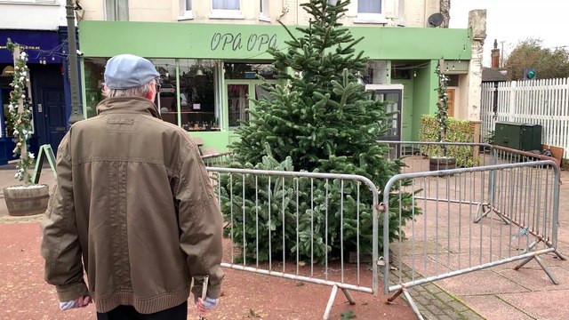 Bexhill's 2023 Christmas Tree in Devonshire Square, East Sussex