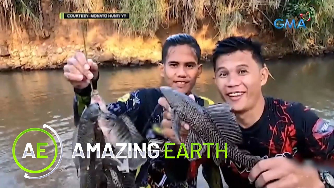 Amazing Earth: Cook your favorite dish with freshly caught fish! (Online Exclusives)