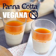 Panna cotta vegan sabor coco