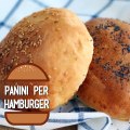 Panini per hamburger, l'impasto soffice preparato con il latte