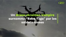 Un drone ukrainien Vampire surnommé 