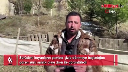 Ölüm çemberi! Esrarengiz olay Türkiye’de de görüldü