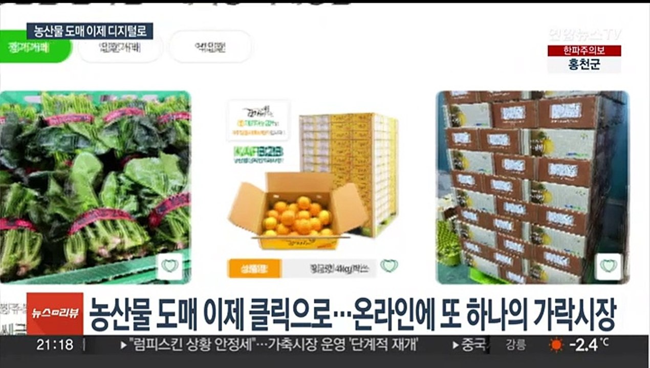 유통비용 줄어드나…세계 첫 농산물 온라인도매시장 출범