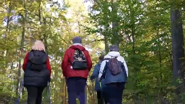 LASY PAŃSTWOWE JESIEŃ NAPISYv2