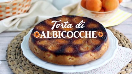 Torta di albicocche - ricetta semplice e veloce