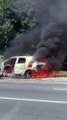 Carro fica destruído após pegar fogo na Avenida Paralela; veja vídeo