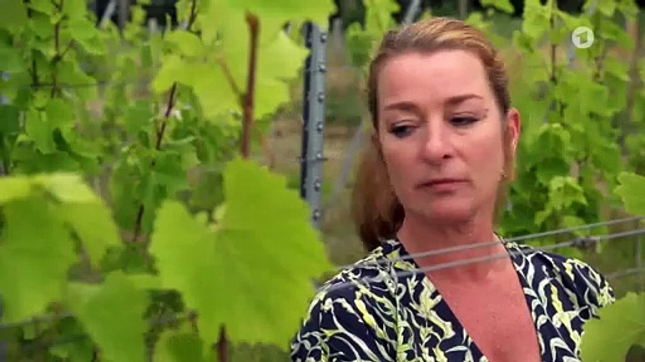 Rote Rosen 3881 Turbulenzen