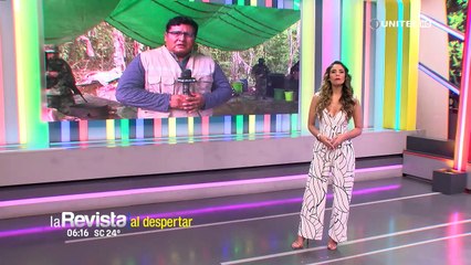 Hallan megafábrica de droga dentro de una finca en Villa Tunari que ya había sido intervenida