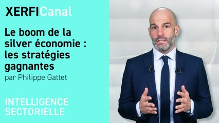 Le boom de la silver économie : les stratégies gagnantes [Philippe Gattet]