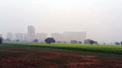 एक्यूआई बढ़ा, दिनभर छाया धुंध, सांस लेने में बेचेनी, देखें वीडियो