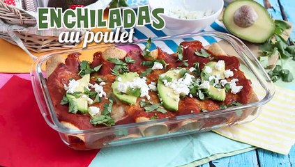 Enchiladas au poulet et sauce tomate piquante