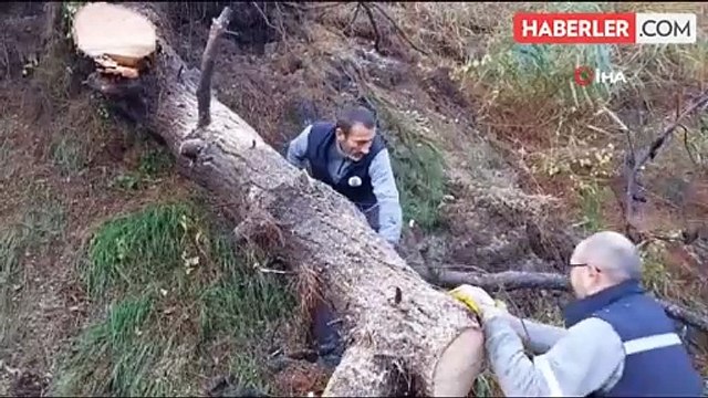 Gemlik'te felaketin yaraları sarılıyor