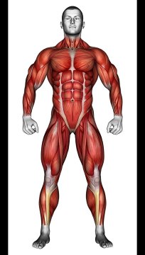 Sculpt Your Upper Body #upperbodyexercises #strengthtraining #fitnessgoals #sculptedarms #shorts