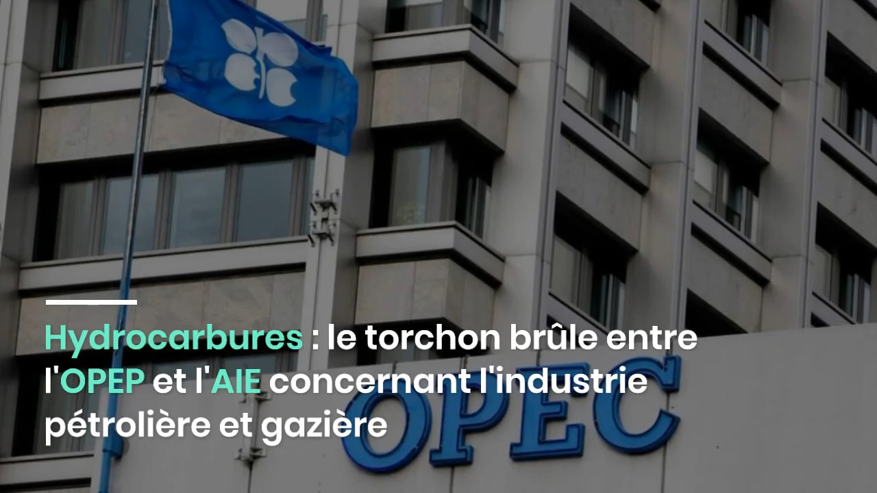 Hydrocarbures : le torchon brûle entre l'OPEP et l'AIE concernant l'industrie pétrolière et gazière