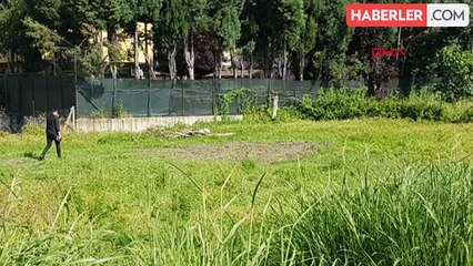 İranlı Emlakçı ve Eşi Parçalara Ayrılarak Gömüldü, Katil 50 Yıl Hapis Cezasına Çarptırıldı