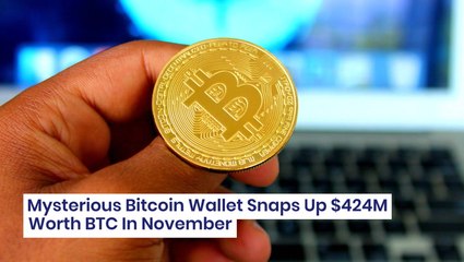 Mysterious Bitcoin Wallet Snaps Up $424M Worth BTC In November
