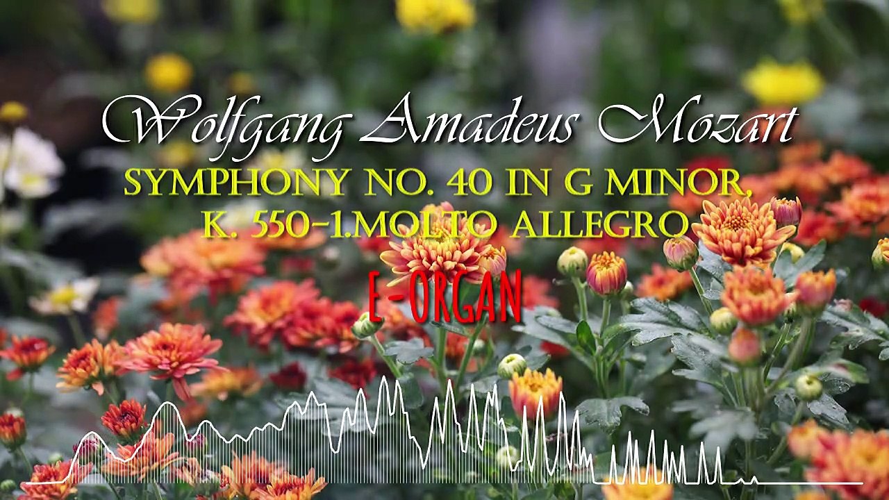 Mozart Symphony No. 40 in G minor, K. 550-1.Molto allegro-E-ORGAN
