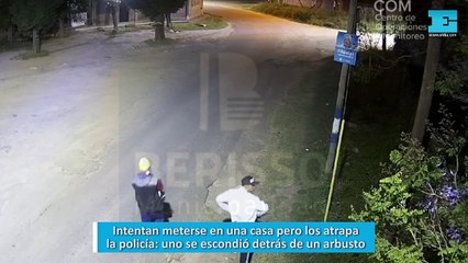 Intentan meterse en una casa pero los atrapa la policía: uno se escondió detrás de un arbusto