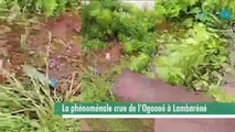 [#Reportage]#Gabon : La phénoménale crue de l’Ogooué à Lambaréné