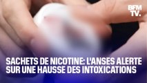 Snus, sachets de nicotine, billes aromatiques… De plus en plus jeunes intoxiqués selon l'Anses