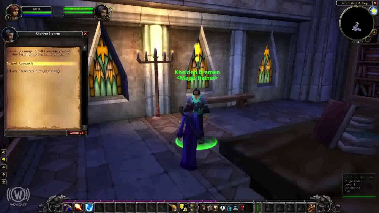 Wow classic: die devs zur season of discovery im interview