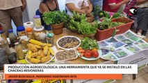 Avanza la producción agroecológica en Misiones cada vez son más los productores que la implementan