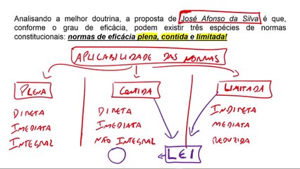 Aula 4 - Aplicabilidade das Normas DIREITO CONSTITUCIONAL
