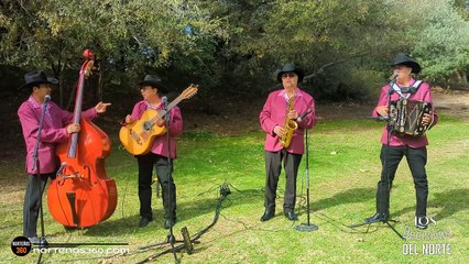 Chiquilla Cariñosa Grupo Norteño con Sax y Tololoche en Bakersfield CA