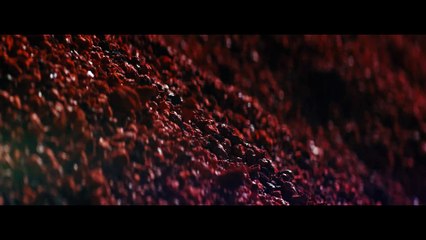 Tesla Unveils the Revolutionary Cybertruck 🚀