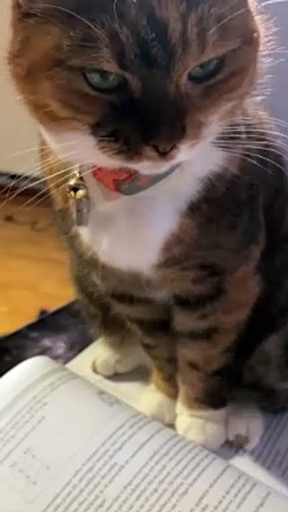 Studying Is Not Allowed